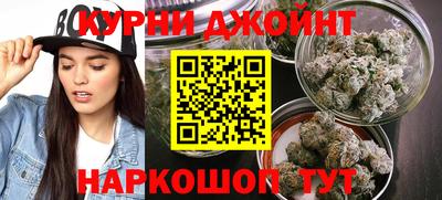 гашик Нальчик