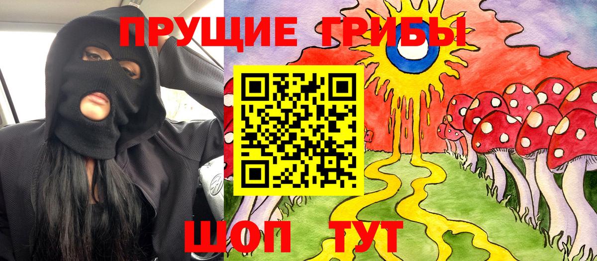 Псилоцибиновые грибы Psilocybe  Псилоцибиновые грибы GOLDEN TEACHER  Свободный  Вход с VPN 